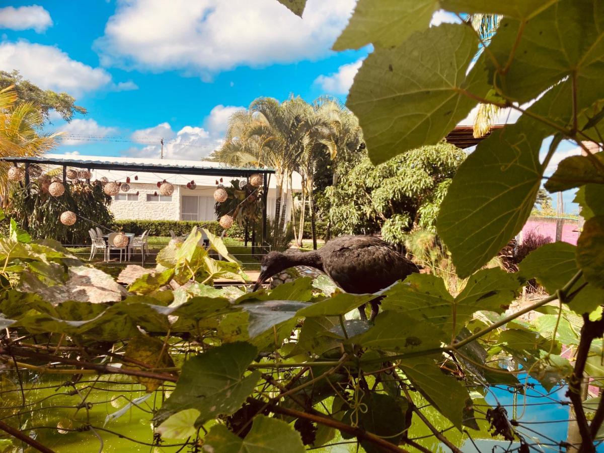 Villa Cristal Santa Elena  Εξωτερικό φωτογραφία